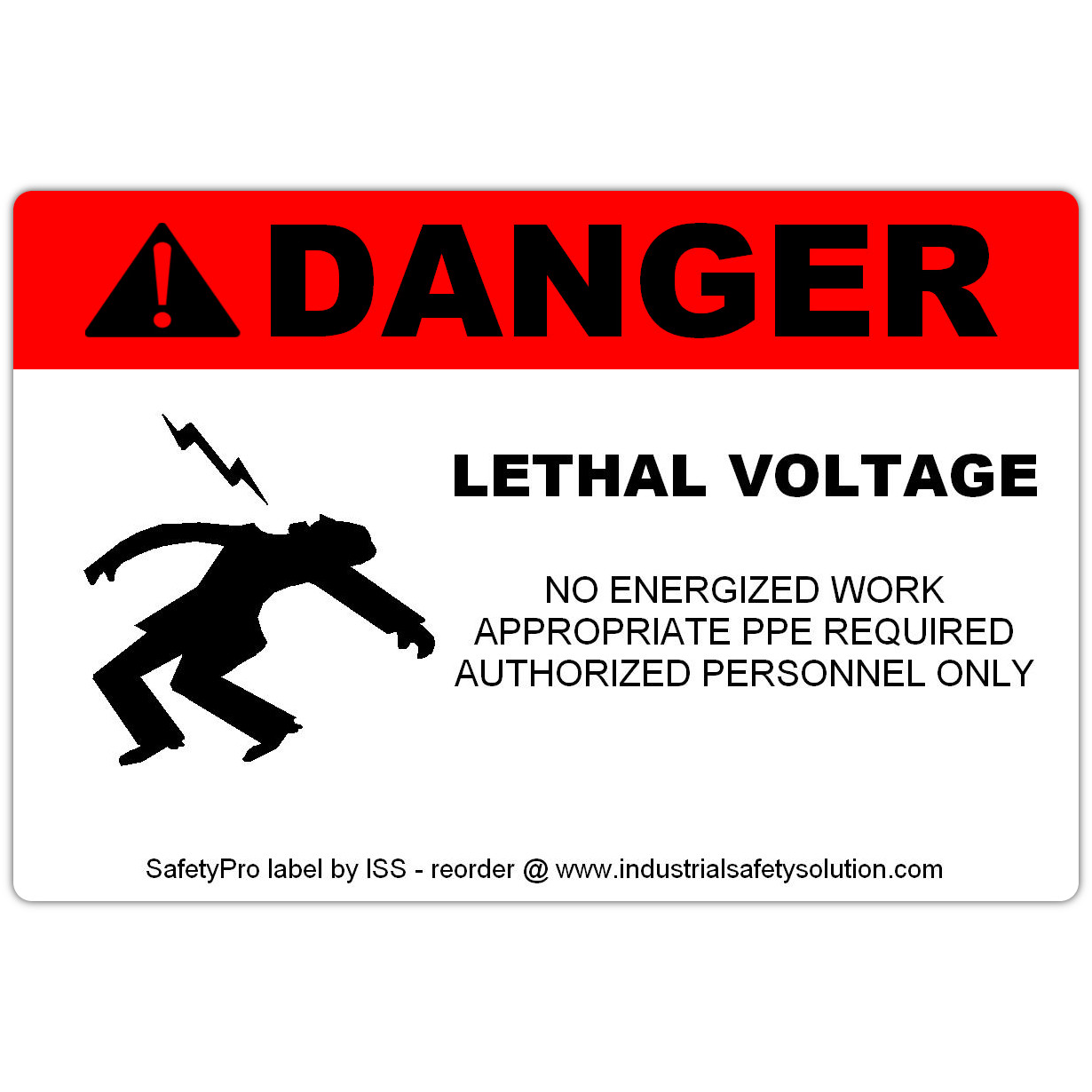 Detail view for 4" x 6" DANGER Lethal Voltage Safety Label